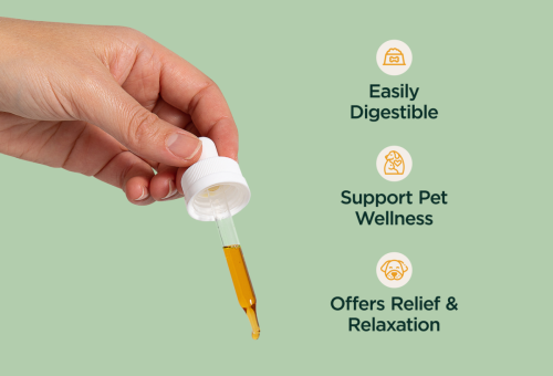 150mg CBD Pet Wellness Tincture